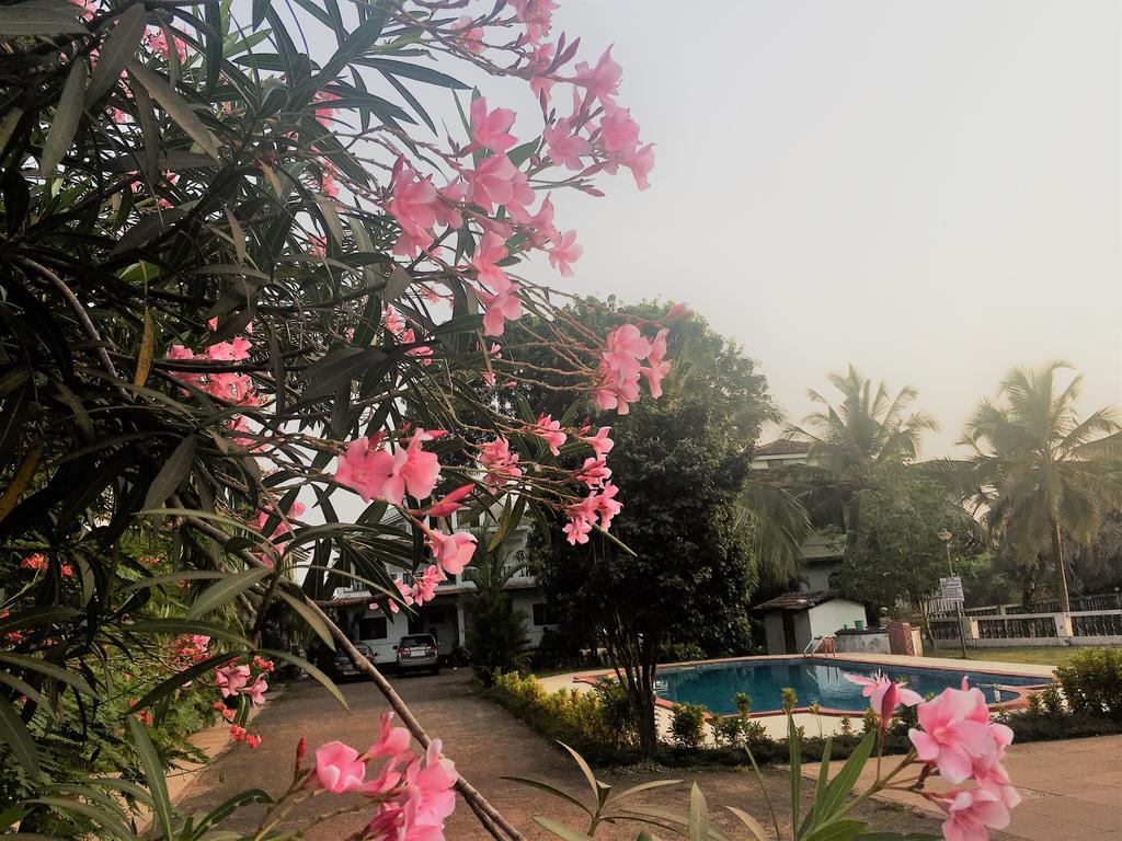 Gr Stays - Duplex 3Bhk Villa With Pool Arpora I Baga Beach 5 Mins Esterno foto